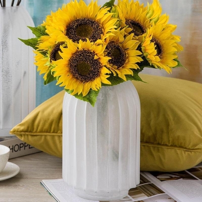 DUARH product image