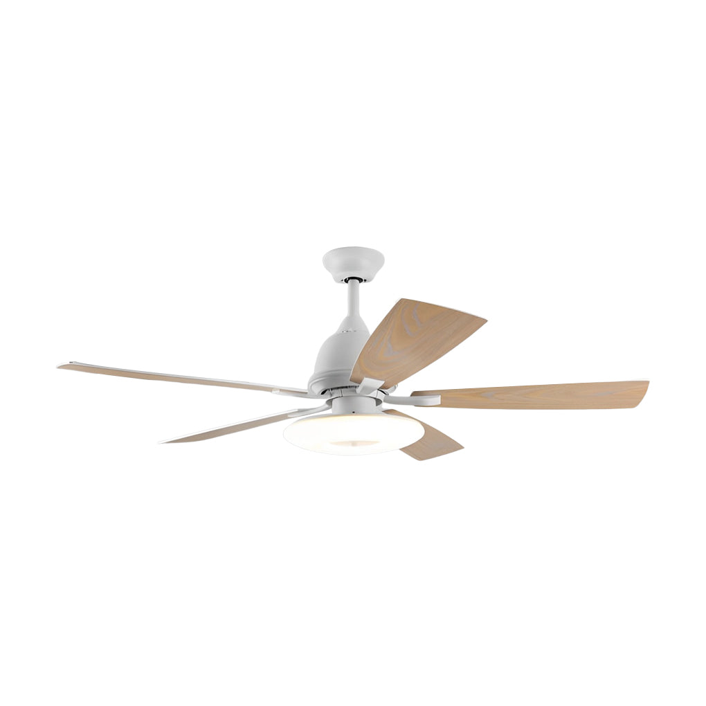 DUARH catalog image