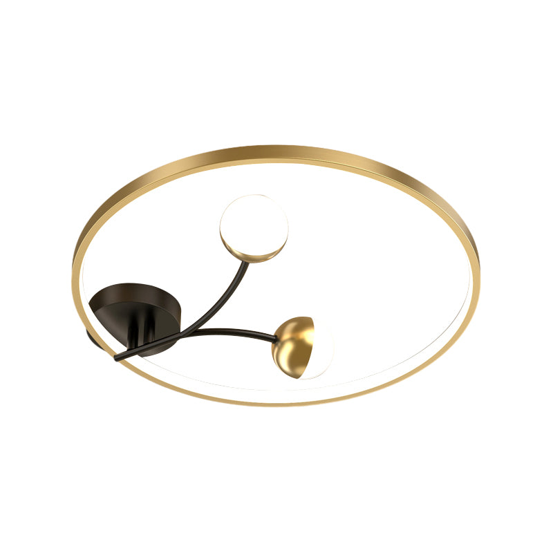DUARH catalog image