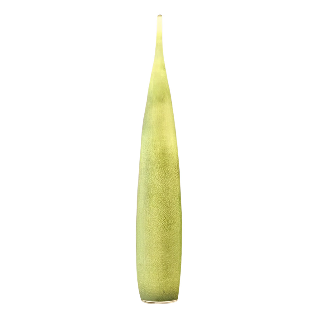 DUARH catalog image