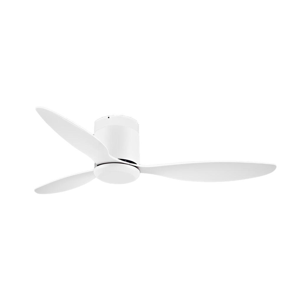 DUARH catalog image