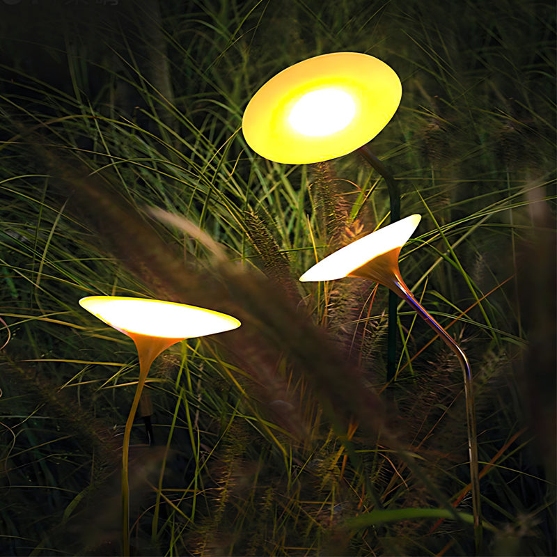 DUARH catalog image