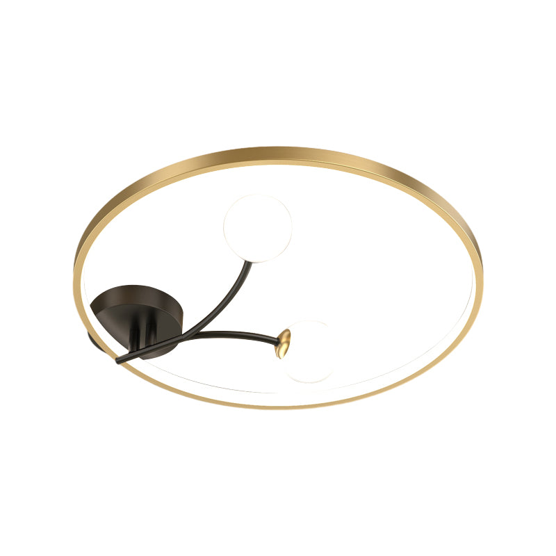 DUARH catalog image