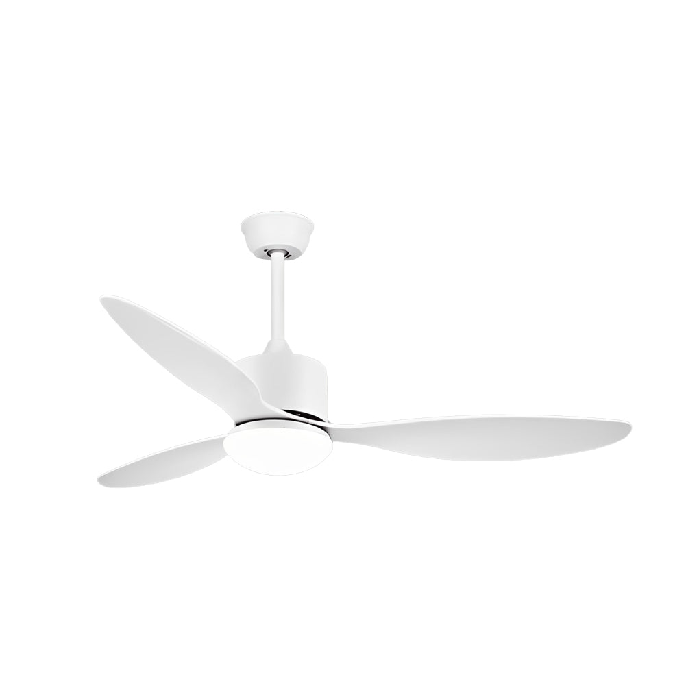 DUARH catalog image