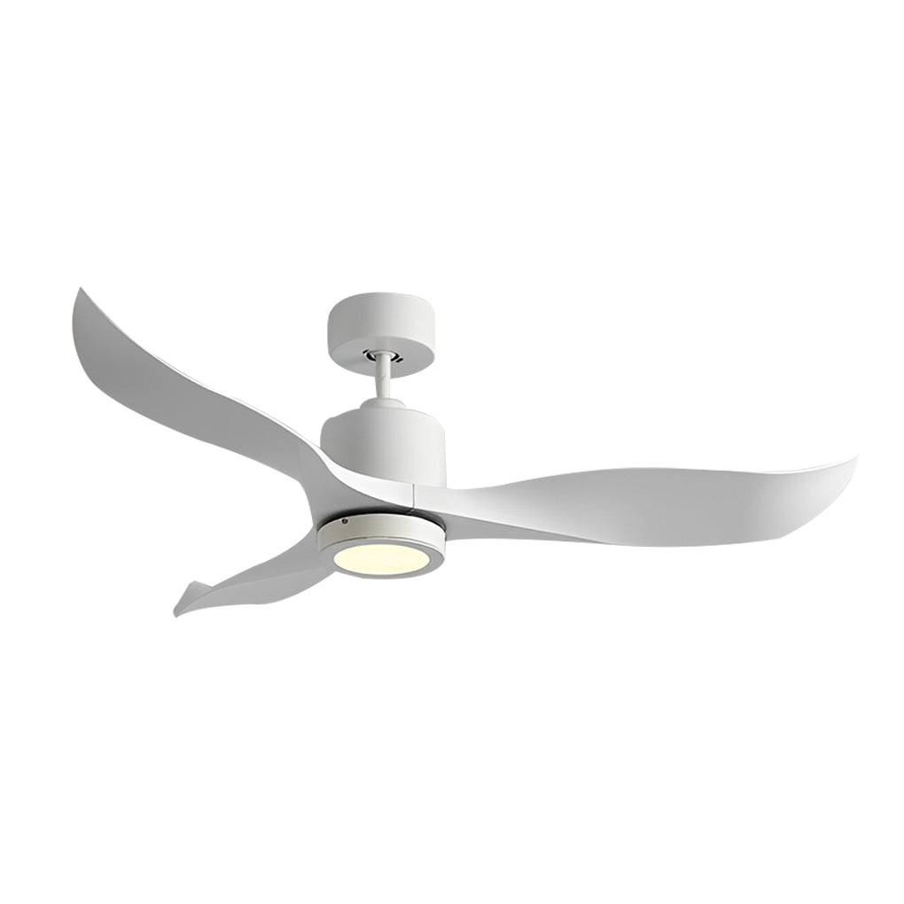 DUARH catalog image